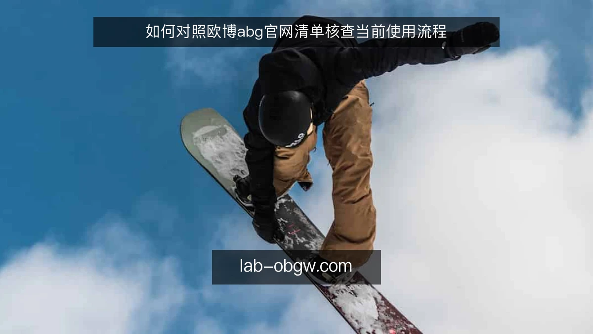 如何对照欧博abg官网清单核查当前使用流程