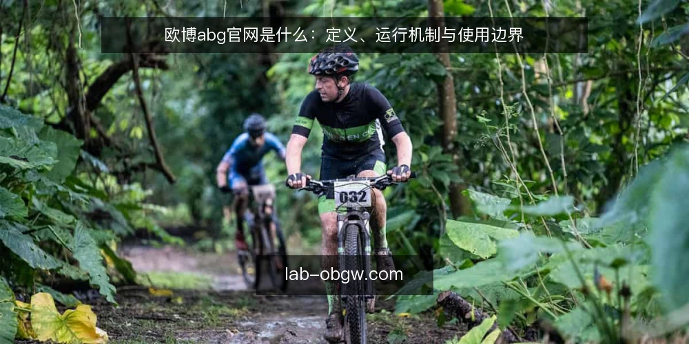 欧博abg官网是什么:定义、运行机制与使用边界 — 欧博abg官网是什么 配图