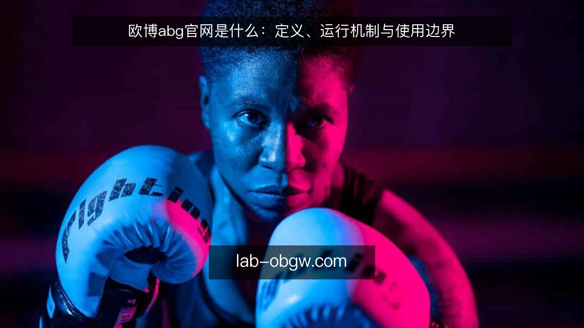 欧博abg官网是什么：定义、运行机制与使用边界