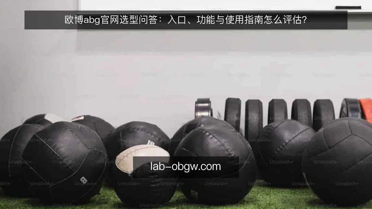 欧博abg官网选型问答:入口、功能与使用指南怎么评估?