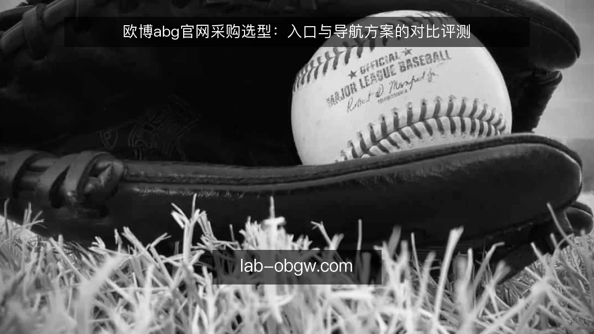 欧博abg官网采购选型：入口与导航方案的对比评测